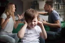 Aile İçi Şiddet Durumlarında Aile Danışmanının Rolü